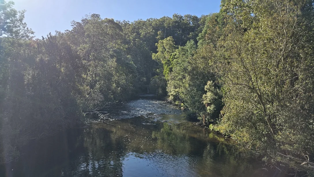 image from Tasmania 2026