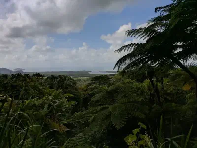 image from Australia: Brisbane to Daintree