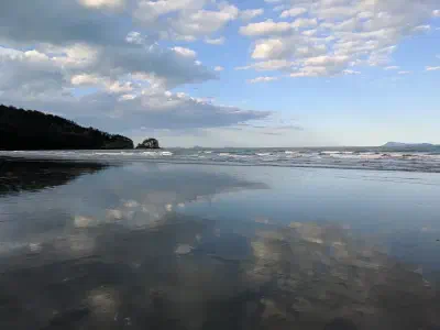 image from Australia: Daintree to Melbourne