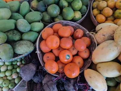 image from Kampot 2020