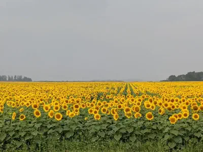 image from Life, Updated!