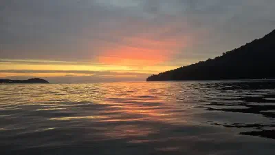 image from Lipe 2026