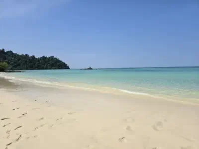image from Lipe Part One 2025
