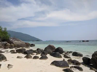 image from Lipe Reunion 2022