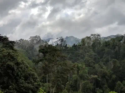image from Northern Thailand