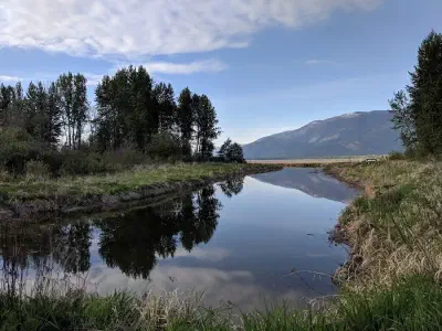 image from Pre PCT 2019