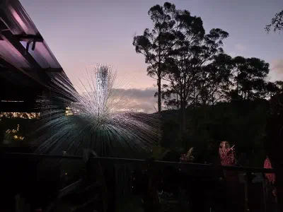 image from Tasmania 2025